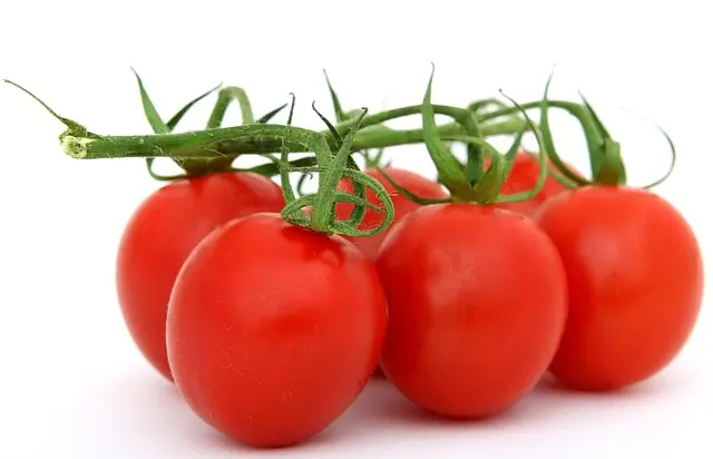 L'importance de la nutrition pour les joueurs de padel